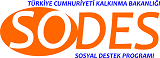 SODES